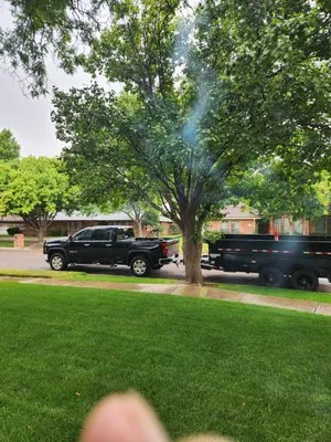 T Lawn Maintenance &Tree Services Logo