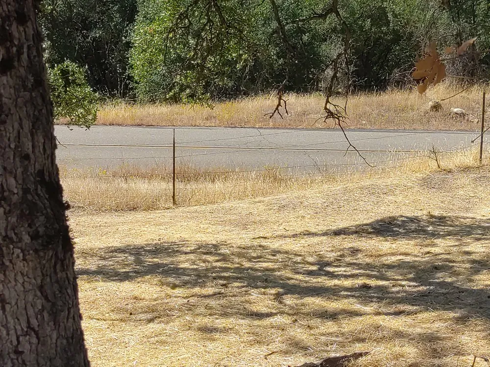 Custom lawn mowing service with custom design in Mariposa, CA by T M W Services