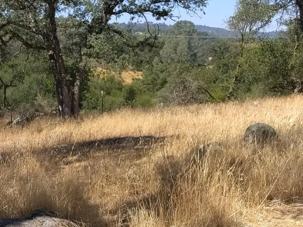 Affordable residential landscaping for outdoor upgrades in Mariposa, CA by T M W Services