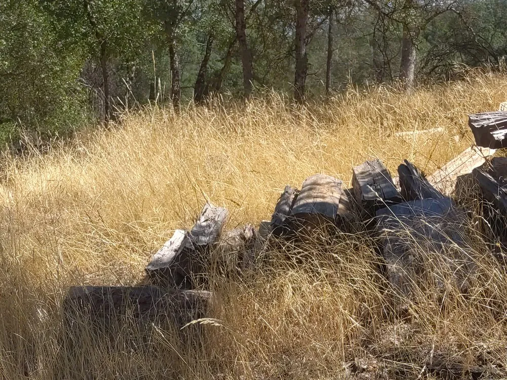 Top-rated yard cleanup service in Mariposa, CA by T M W Services