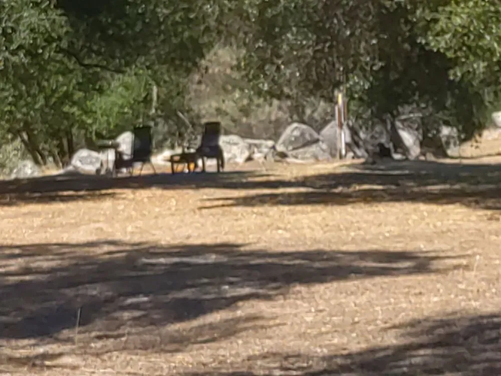 Custom landscape installation in Mariposa, CA - T M W Services