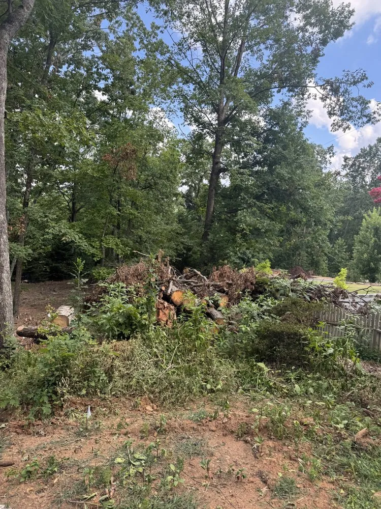 Local residential landscaping in Greer, SC by T Manz Landscape