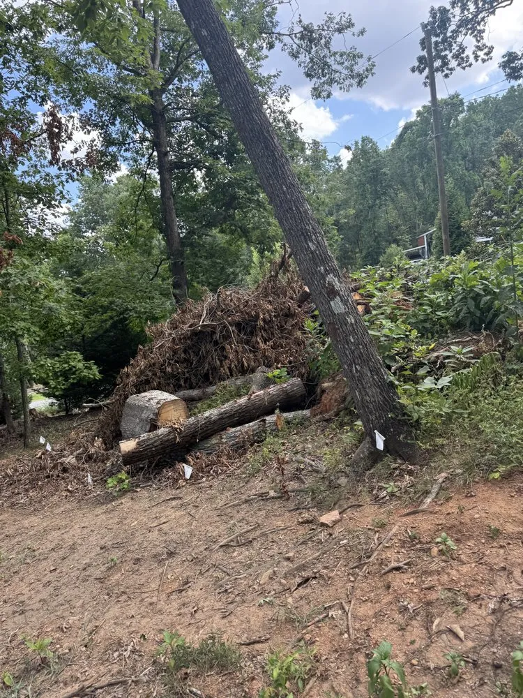Local outdoor landscaping for beautiful yards across Greer, SC - T Manz Landscape