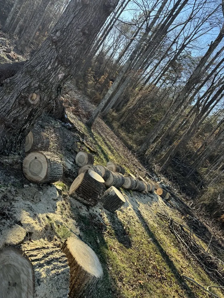 Top-rated outdoor landscaping for outdoor upgrades across Greer, SC - T Manz Landscape