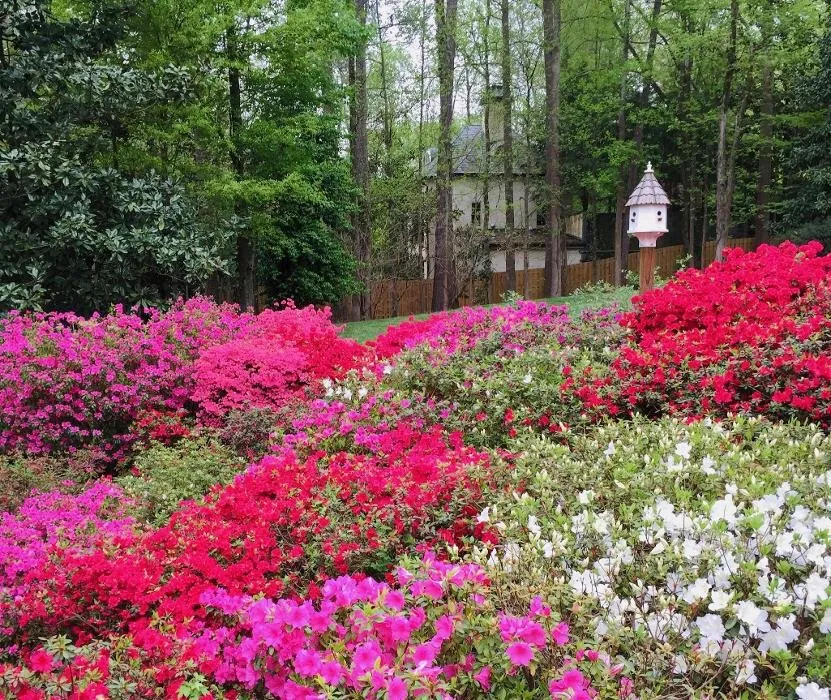 Trusted outdoor landscaping for beautiful yards across Franklin, TN - T Money Design