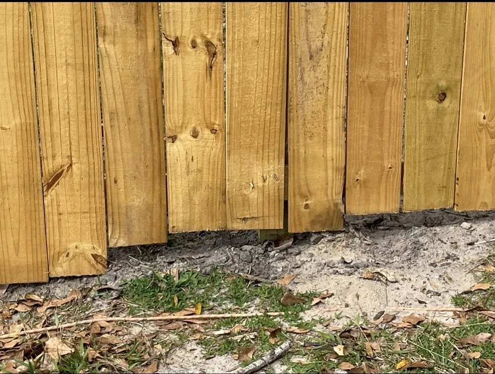 Professional garden landscaping in Brunswick, GA - T-Mowers