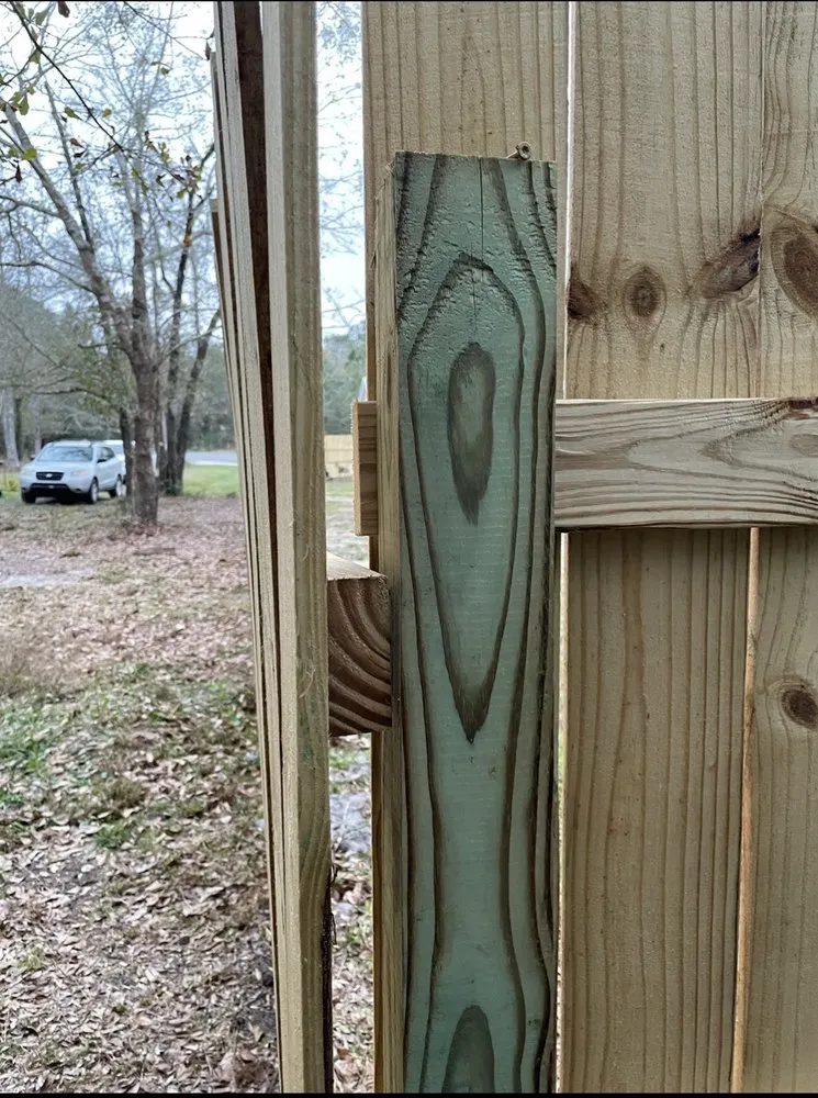 Custom yard cleanup service experts serving Brunswick, GA - T-Mowers