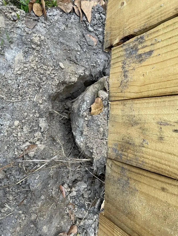 Affordable garden landscaping for year-round maintenance across Brunswick, GA - T-Mowers