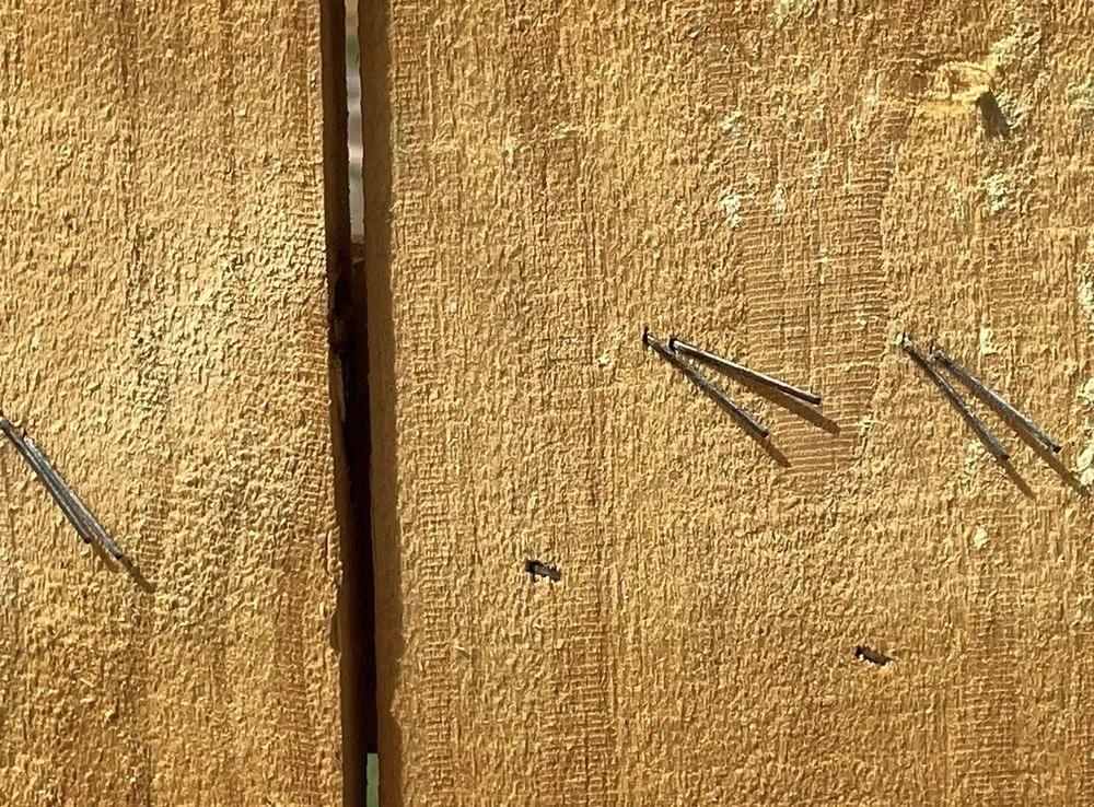 Affordable garden landscaping in Brunswick, GA - T-Mowers