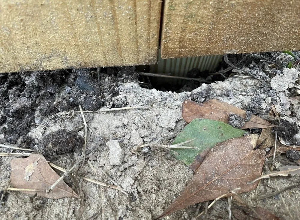 Local landscape design for year-round maintenance in Brunswick, GA by T-Mowers