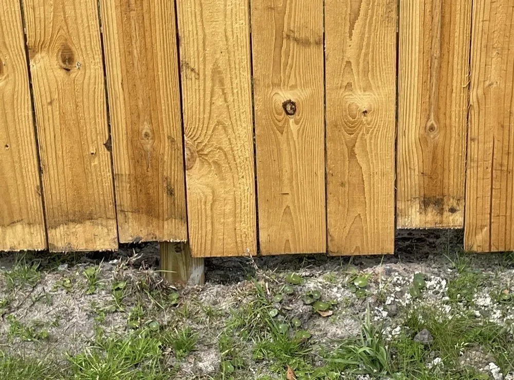 Reliable residential landscaping in Brunswick, GA - T-Mowers