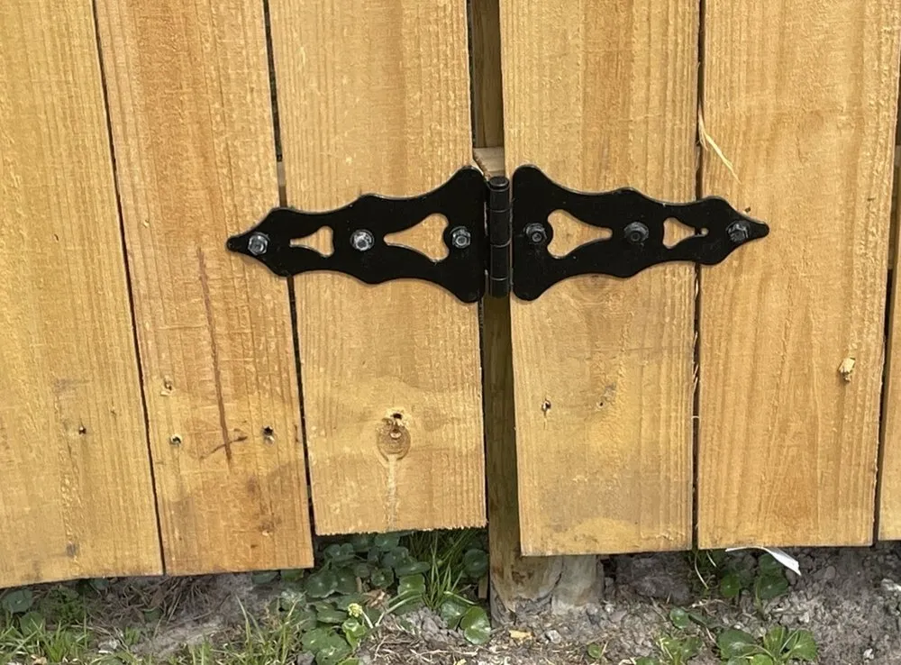 Top-rated residential landscaping in Brunswick, GA by T-Mowers