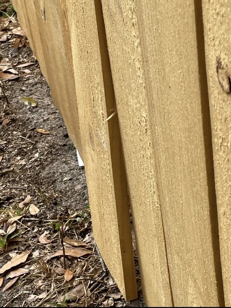 Expert lawn care service experts serving Brunswick, GA - T-Mowers