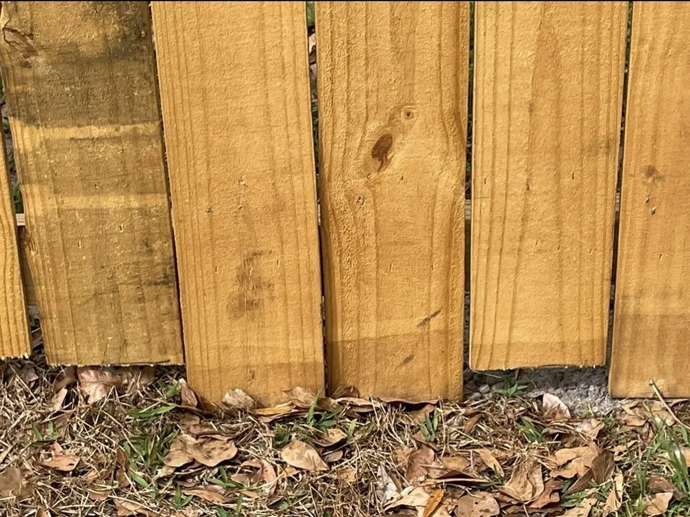 Affordable landscape design in Brunswick, GA by T-Mowers