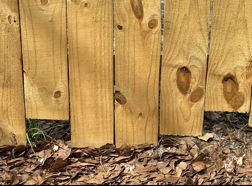 Expert residential landscaping experts serving Brunswick, GA - T-Mowers