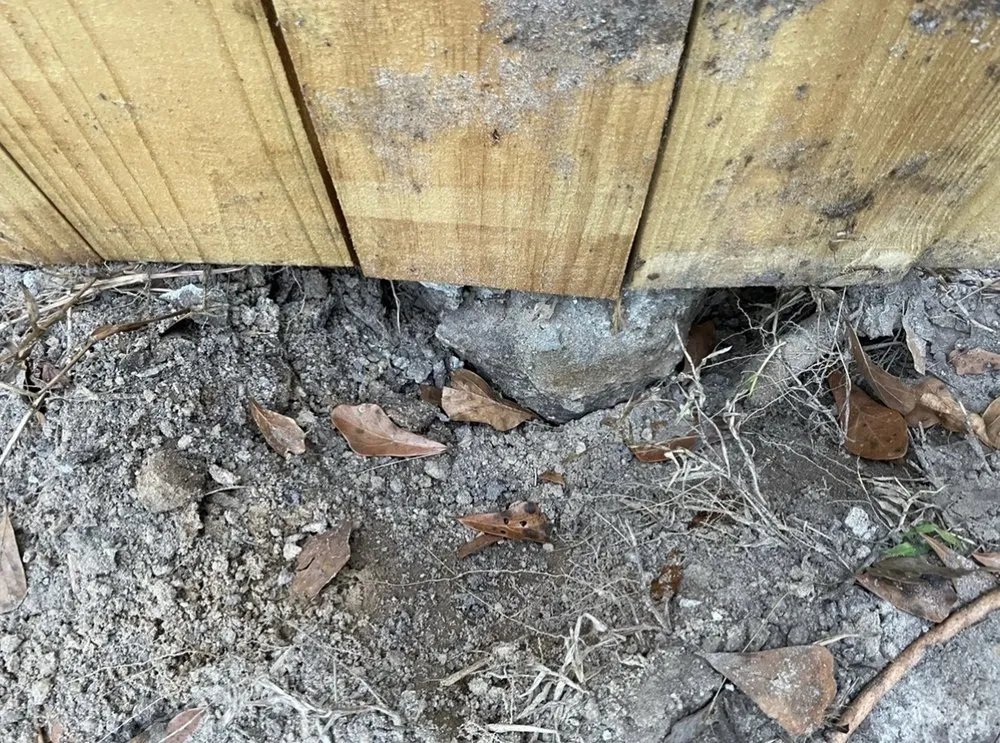 Custom landscape design in Brunswick, GA - T-Mowers