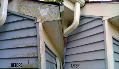 Local landscaping services experts serving Joplin, MO - T n J Services