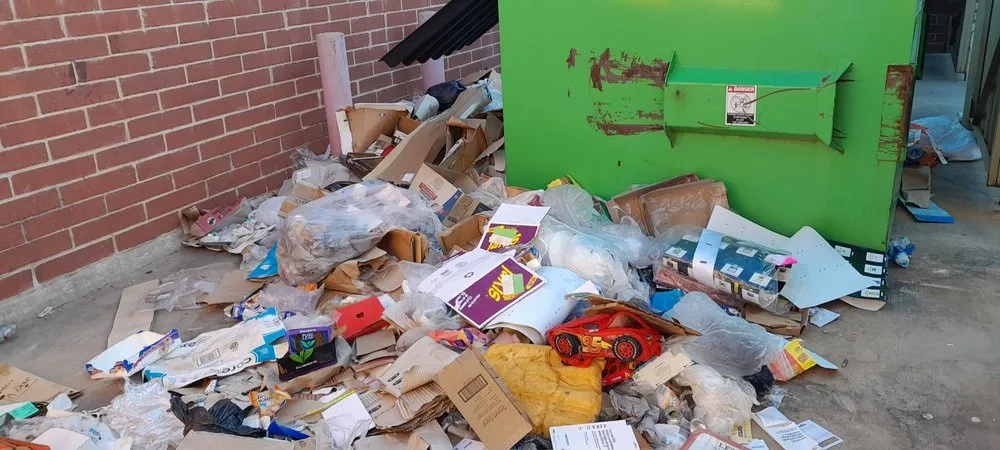 Custom yard maintenance for year-round maintenance in Dallas, TX by T N T Junk Removal