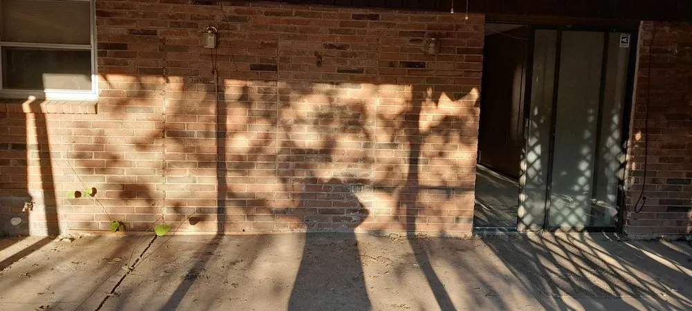 Local yard cleanup service in Dallas, TX by T N T Junk Removal