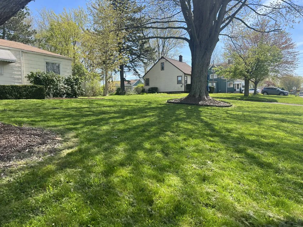 Top-rated landscaping services in Erie, PA by T-N-T lawn Care Services Plus