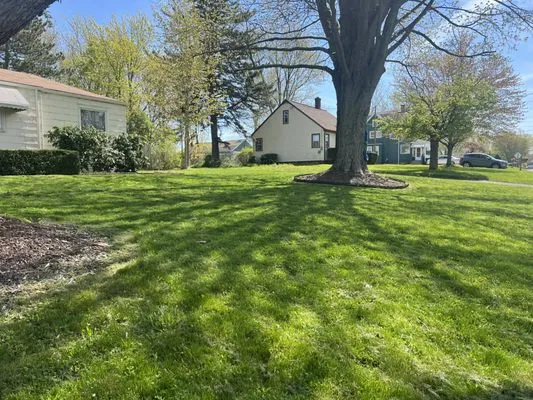 T-N-T lawn Care Services Plus Logo