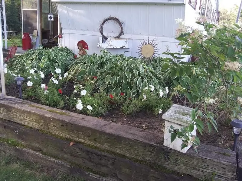 Reliable yard maintenance experts serving Harrison, MI - T N T Lawn Maintenance And Housekeeping