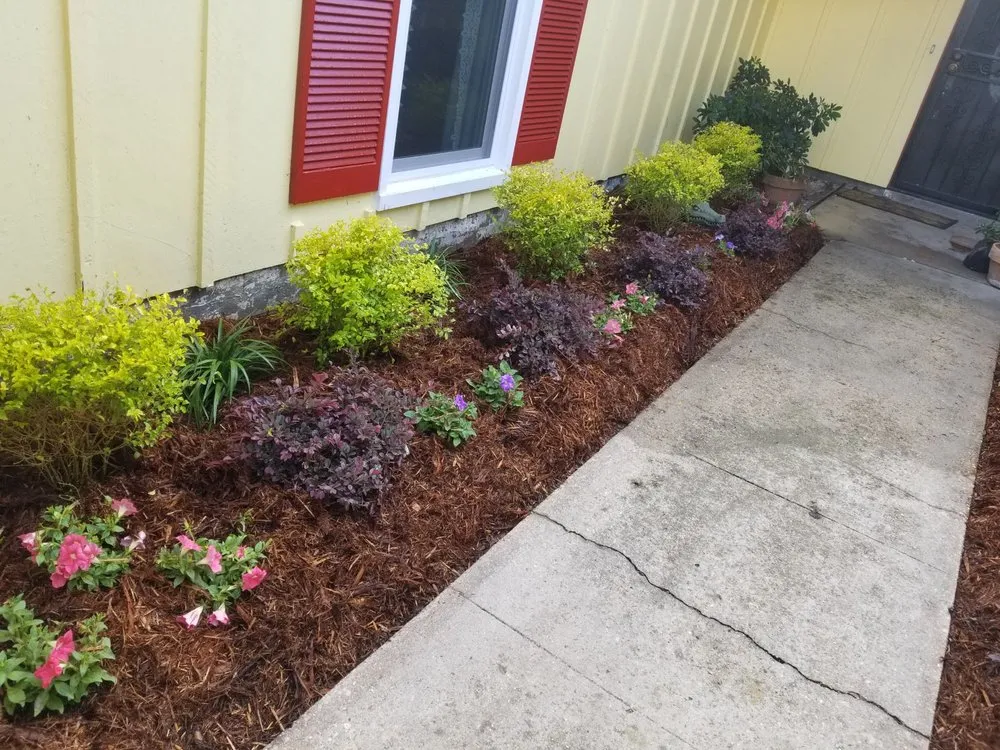 Top-rated yard maintenance experts serving Belle Chasse, LA - T O's Lawn & Landscaping