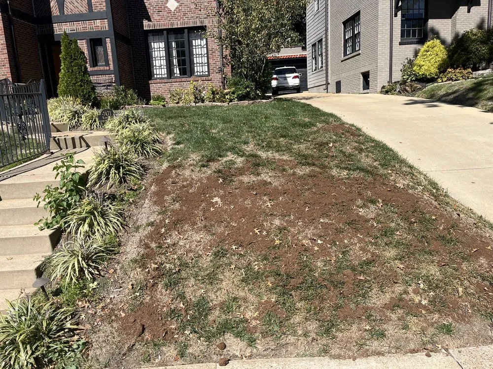 Professional outdoor landscaping experts serving Richmond Heights, MO - T R Scapes Lawn and Landscaping