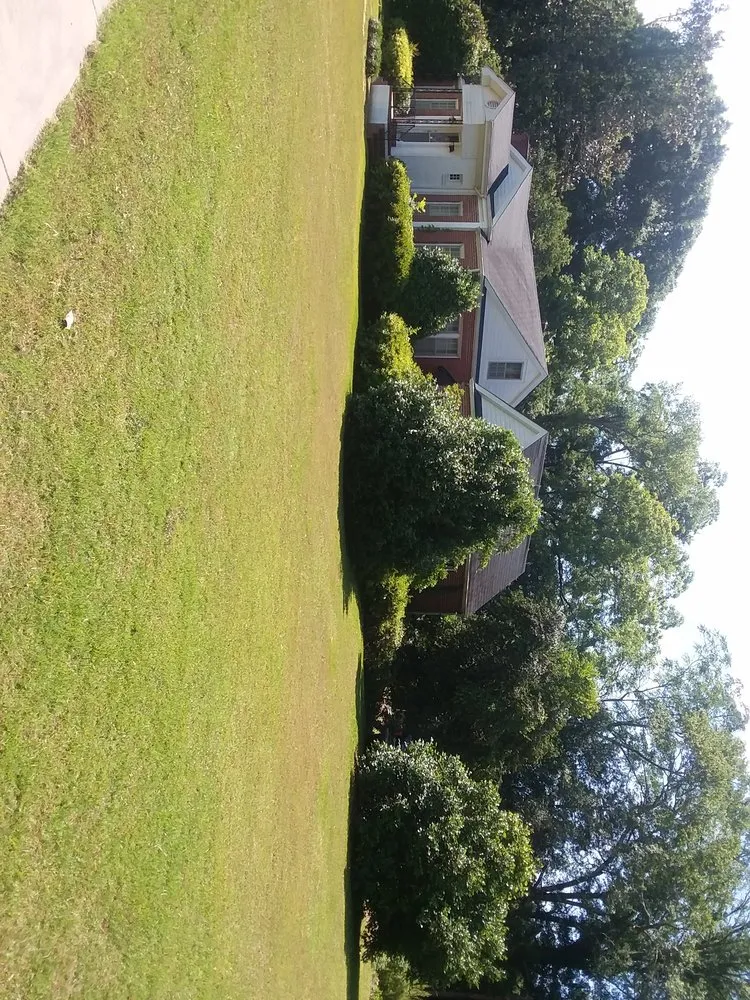 Custom garden landscaping in Cusseta, GA by T Ray Services