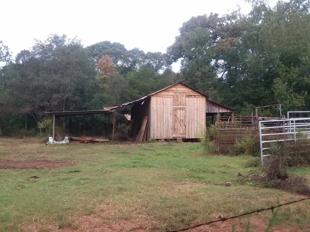 Trusted outdoor landscaping in Cusseta, GA by T Ray Services