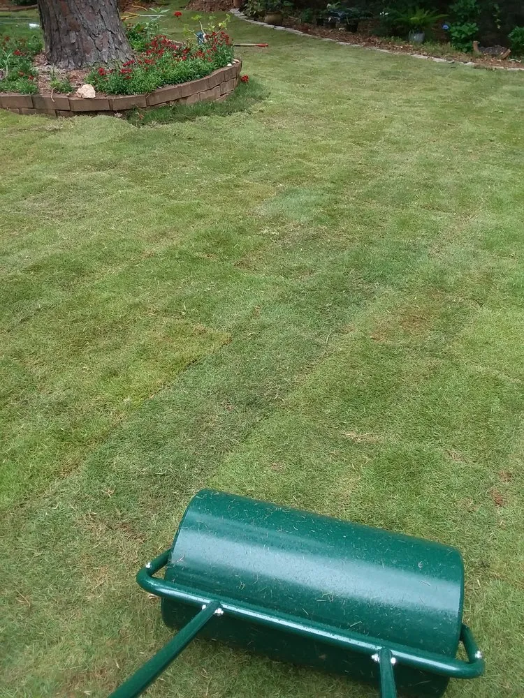 Trusted residential landscaping for residential properties in Cusseta, GA by T Ray Services