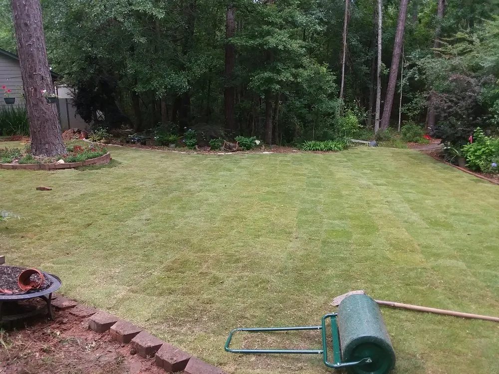 Top-rated lawn care service for beautiful yards across Cusseta, GA - T Ray Services