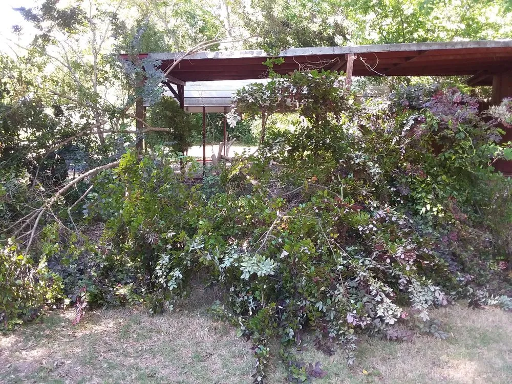 Expert garden landscaping for outdoor upgrades across Cusseta, GA - T Ray Services