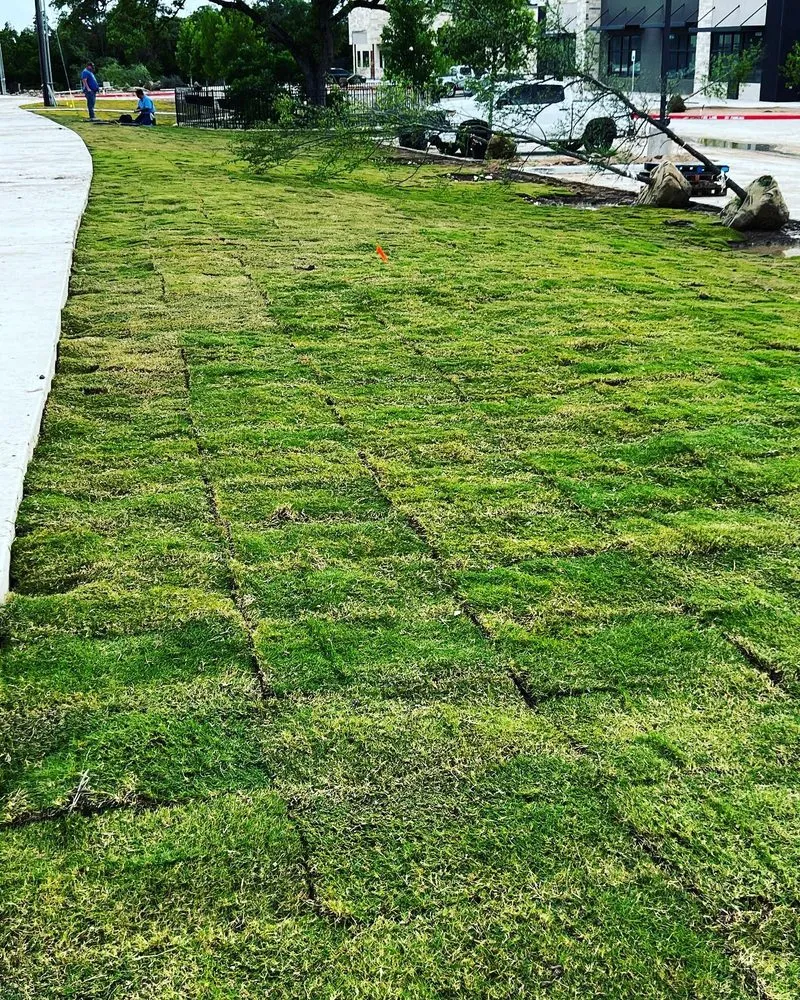 Affordable landscaping services in Brownsville, TX by T Rex Dump Trucks