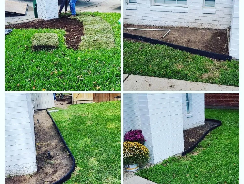 Expert lawn care service in Brownsville, TX - T Rex Dump Trucks