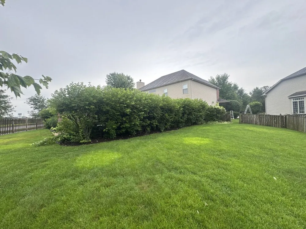 Expert outdoor landscaping experts serving Aurora, IL - T-Rex Exteriors