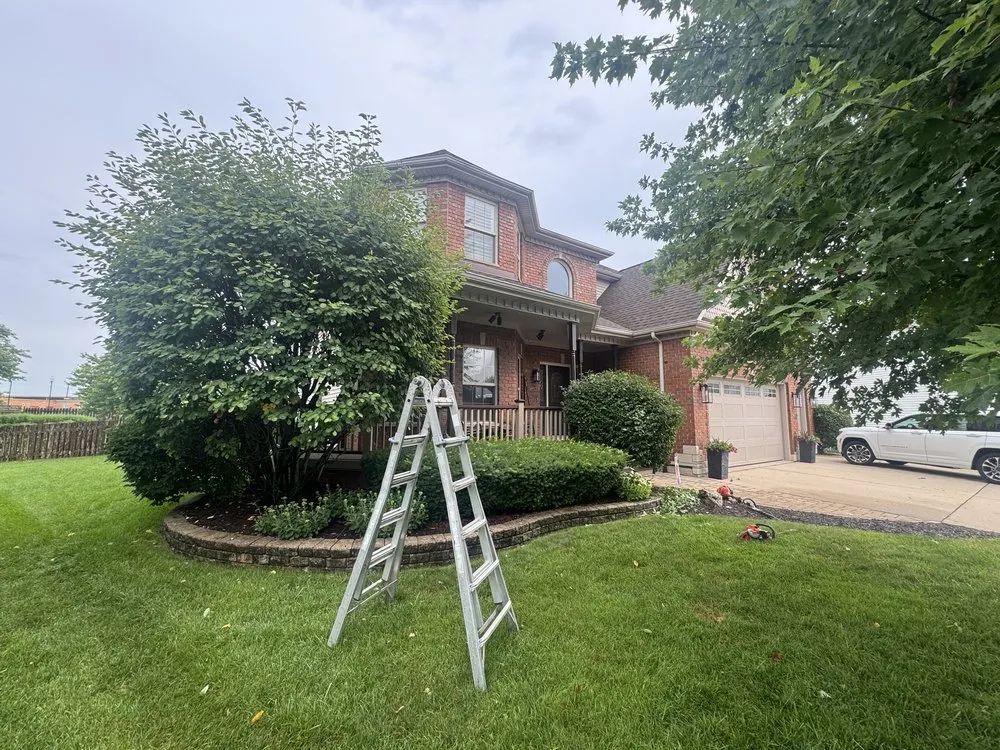 Local residential landscaping for outdoor upgrades across Aurora, IL - T-Rex Exteriors