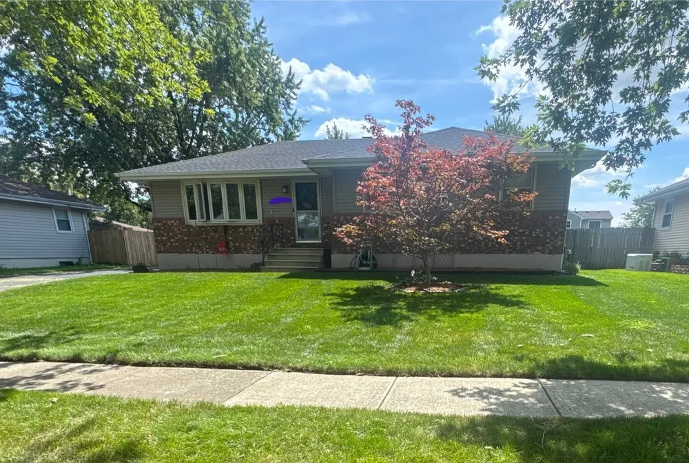 Local yard cleanup service experts serving Aurora, IL - T-Rex Exteriors