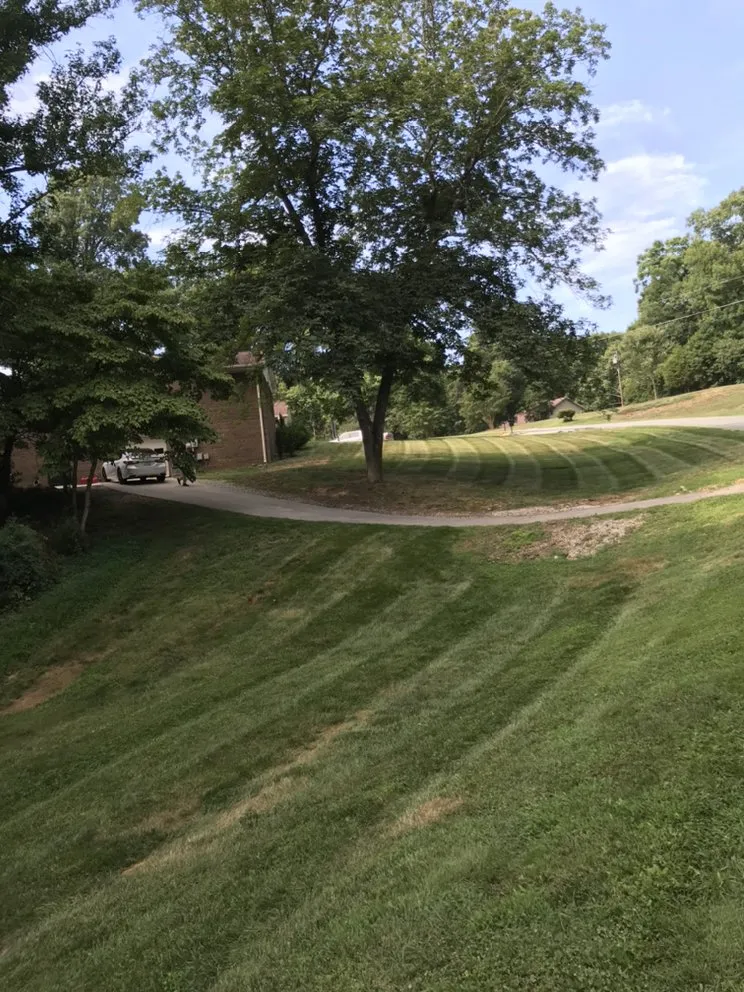 Trusted residential landscaping with custom design across Winston-Salem, NC - T Rivera Landscaping