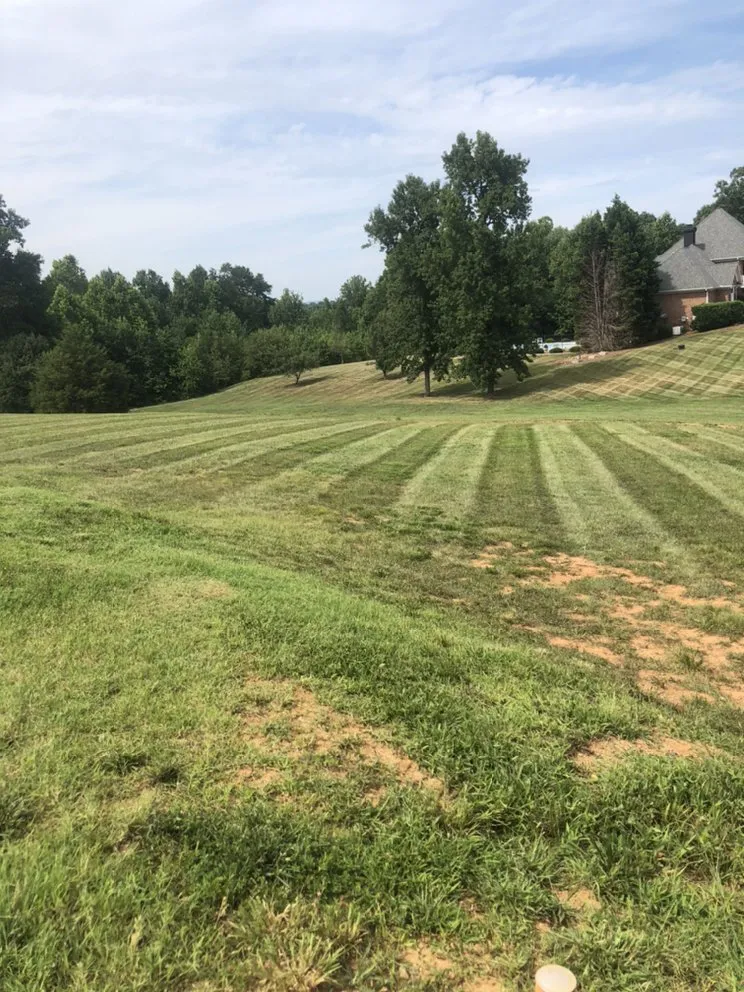 Expert residential landscaping in Winston-Salem, NC - T Rivera Landscaping