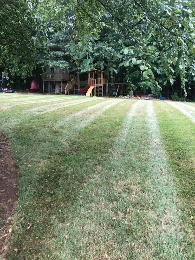 Reliable landscape design experts serving Winston-Salem, NC - T Rivera Landscaping