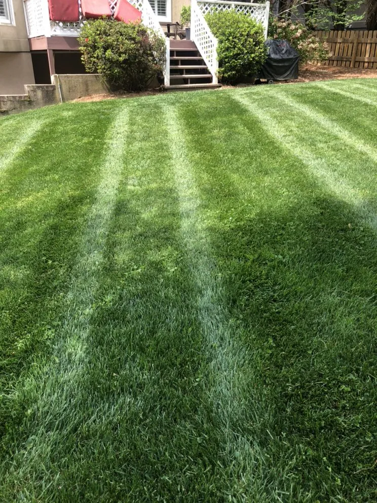 Reliable yard cleanup service for outdoor upgrades in Winston-Salem, NC by T Rivera Landscaping