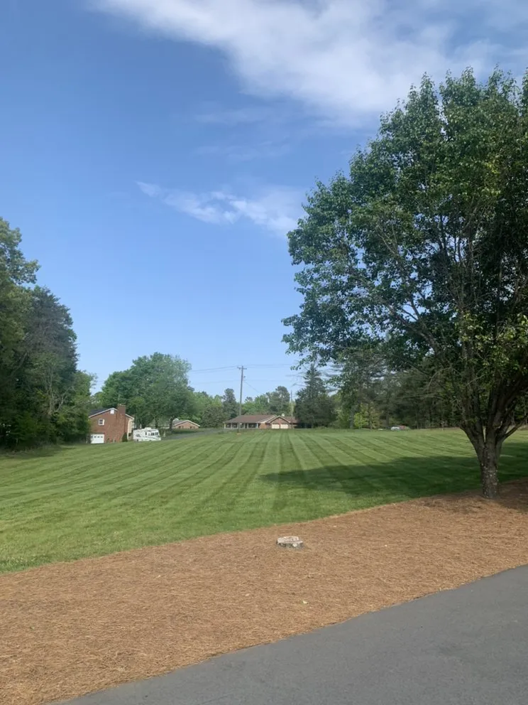 Professional landscape design in Winston-Salem, NC - T Rivera Landscaping