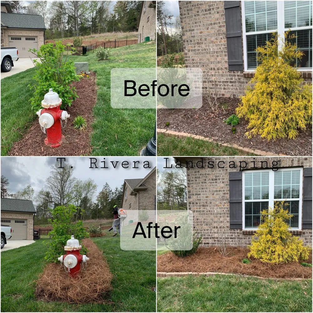 Affordable yard maintenance experts serving Winston-Salem, NC - T Rivera Landscaping