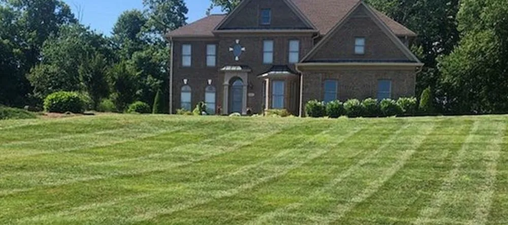 Professional residential landscaping for outdoor upgrades in Winston-Salem, NC by T Rivera Landscaping