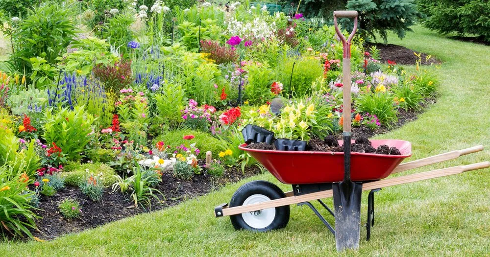 Expert yard maintenance experts serving Winston-Salem, NC - T Rivera Landscaping