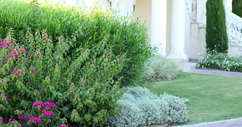 Custom landscaping services in Winston-Salem, NC - T Rivera Landscaping