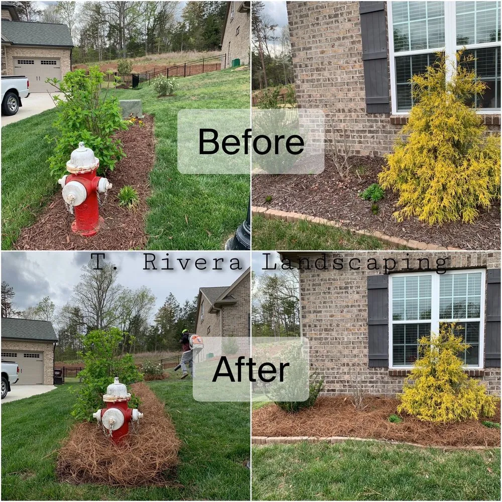Trusted lawn mowing service in Winston-Salem, NC - T Rivera Landscaping