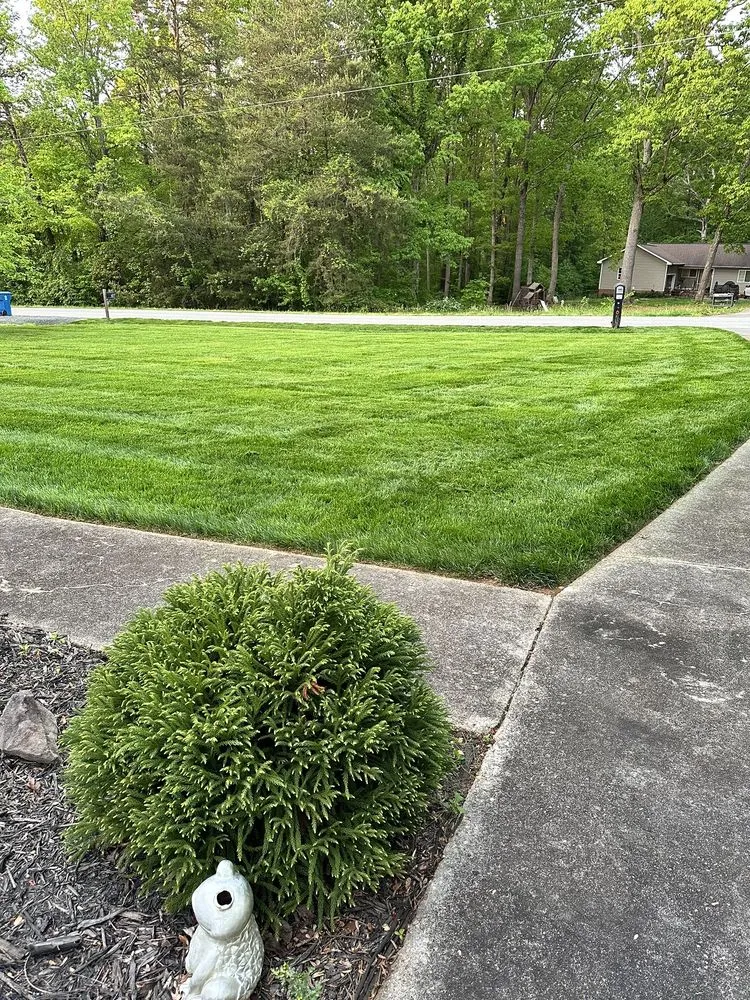 Reliable yard cleanup service for homes in Winston-Salem, NC by T Rivera Landscaping
