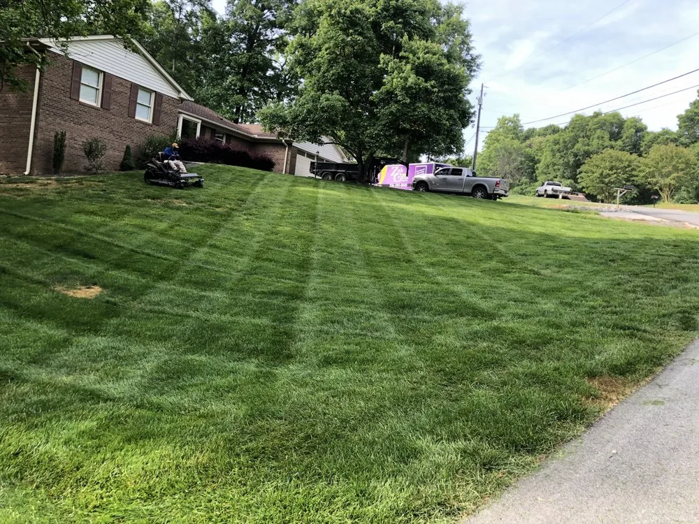 Expert yard maintenance in Winston-Salem, NC - T Rivera Landscaping